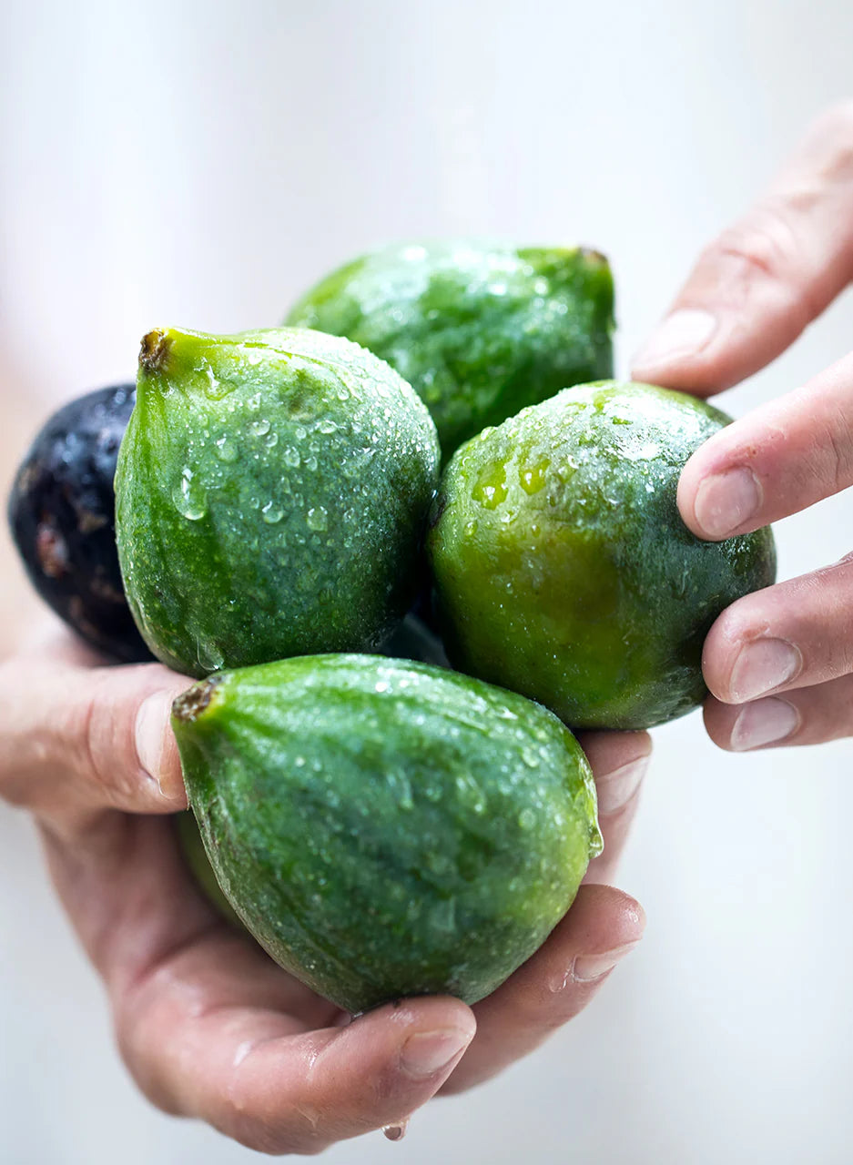 COMPOSTA DI FRUTTA FICHI 335g "ALPE PRAGAS"