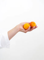 COMPOSTA DI FRUTTA ALBICOCCA 335g "ALPE PRAGAS"
