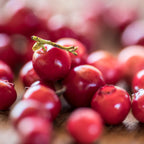 COMPOSTA DI FRUTTA MIRTILLO ROSSO 335g "ALPE PRAGAS"