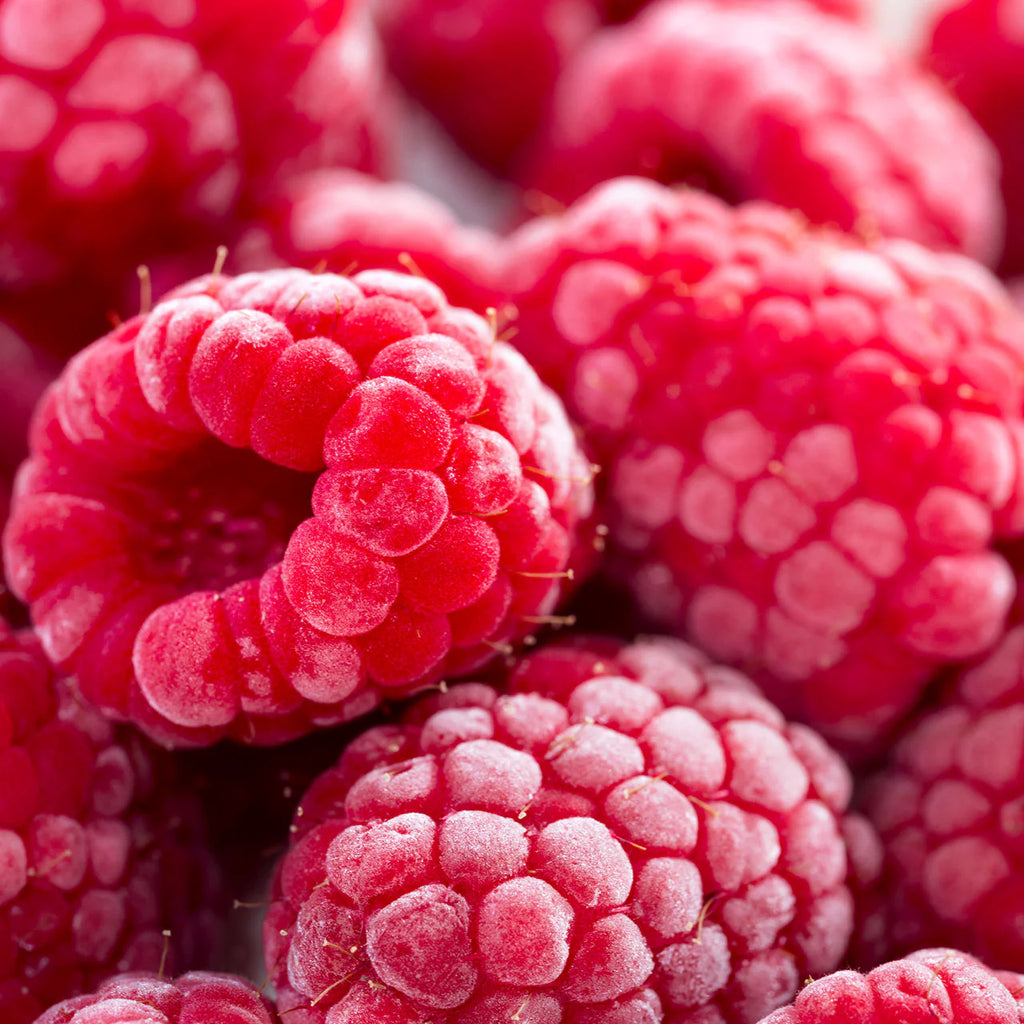 COMPOSTA DI FRUTTA AL LAMPONE 110g "ALPE PRAGAS"
