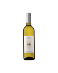 CHARDONNAY DOC 2024 "K.MARTIN"