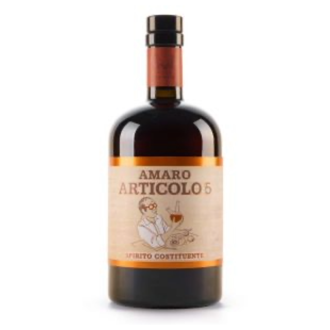 AMARO ARTICOLO 5 "VILLA LAVIOSA"