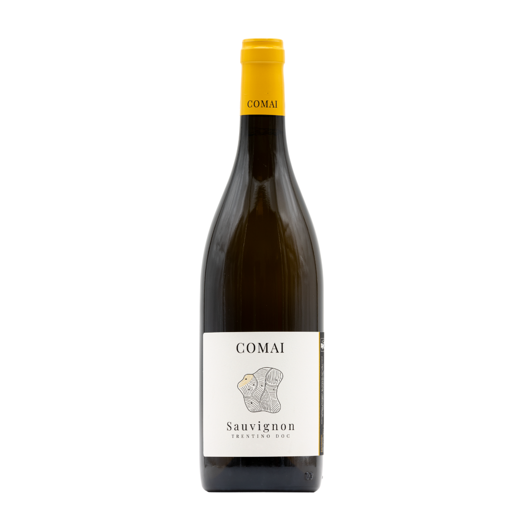 SAUVIGNON BIO 2024 DOC "COMAI"